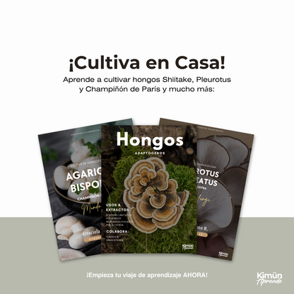 PACK CULTIVO CASERO DE HONGOS