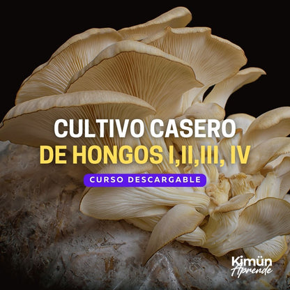 PACK CULTIVO CASERO DE HONGOS