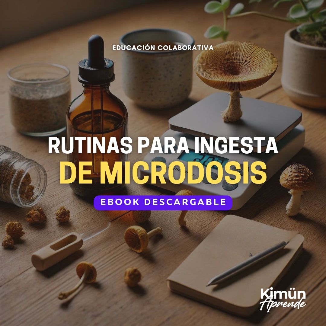 RUTINAS PARA INGESTA DE MICRODOSIS