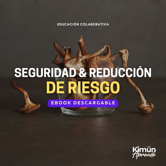 SEGURIDAD & REDUCCIÓN DE RIESGOS