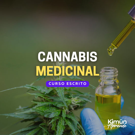 CANNABIS MEDICINAL - Kimun Aprende