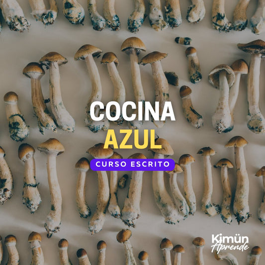 COCINA AZUL- PREPARACIONES CULINARIAS PSILOCYBE - Kimun Aprende