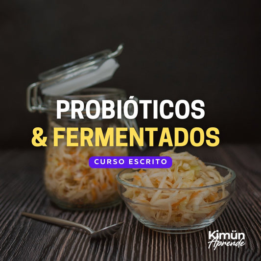 PROBIÓTICOS & FERMENTADOS: CHUCRUT EN CASA - Kimun Aprende